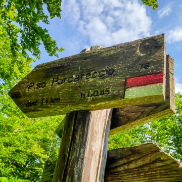 LA FORESTA DI CAMALDOLI