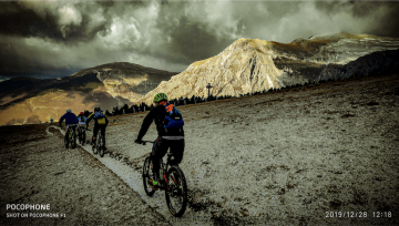 LUPI AZZURRI NELLA NEVE