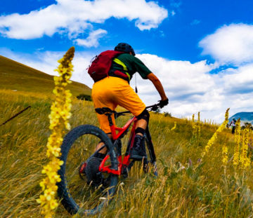 LA FIORITURA DI CASTELLUCCIO DAL MONTE LIETO