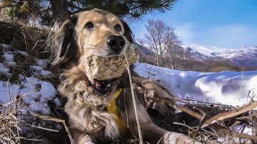 "SENTIERO DEI MIETITORI CON TELMA 29er"